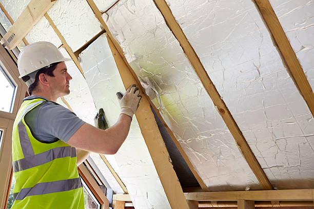 Insulation Replacement Services in Tallahassee, FL