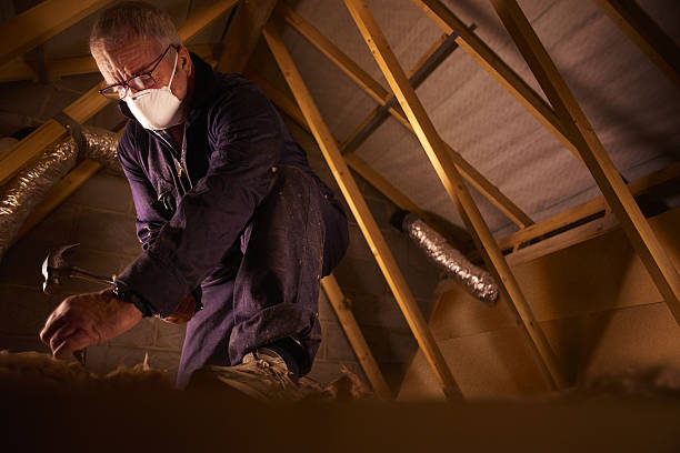 Professional Insulation Contractor in Tallahassee, FL