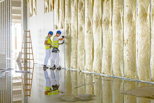 Insulation Repair Services in Tallahassee, FL